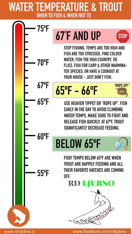 give-trout-a-break-as-temps-rise-nutmeg-trout-unlimited